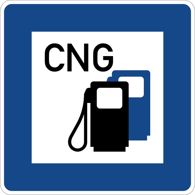 Auta na CNG jsou šetrná k přírodě. Navíc mají i řadu dalších předností